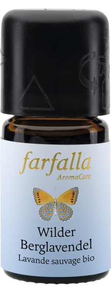 Farfalla Wilder-Berglavendel