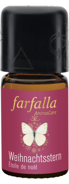 Farfalla Weihnachtsstern
